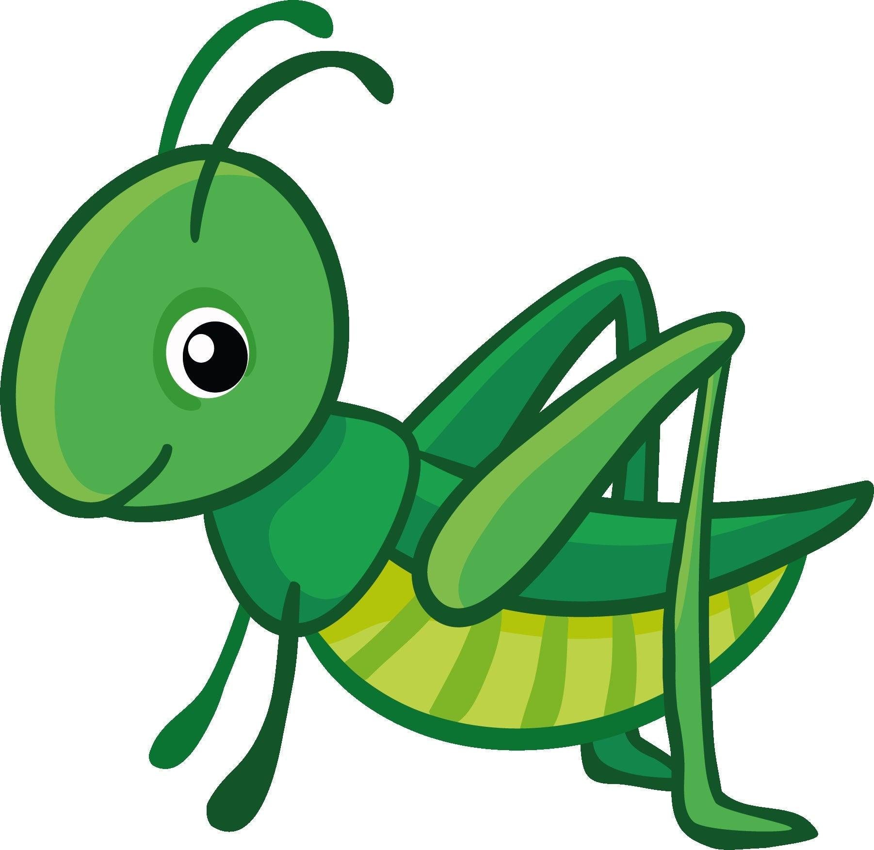 Grasshopper Cookie Cutter - Sweetleigh 
